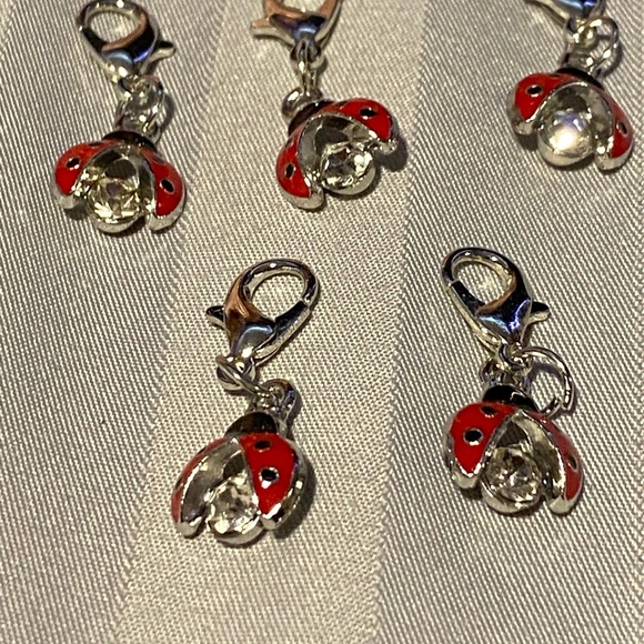 Jewelry - Red and Silver Ladybug Charm (1)